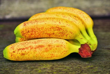 Banane piccole: tre varietà per le strutture sanitarie | SD Fruit - ingrosso ortofrutta