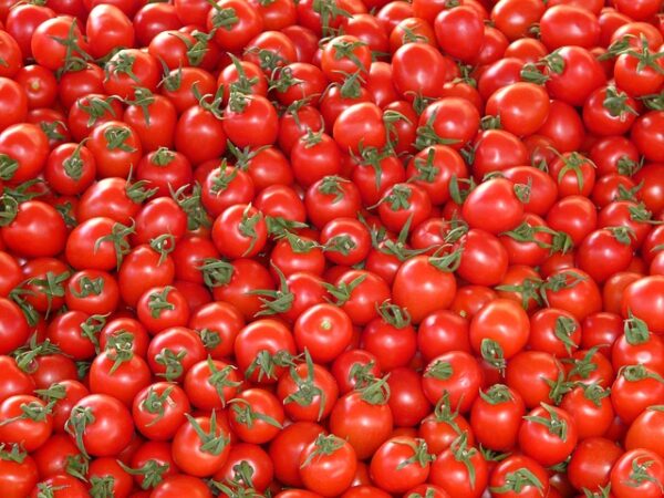 Pomodoro ciliegino | Sd Fruit - ingrosso ortofrutta