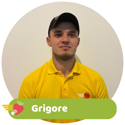 Logistica