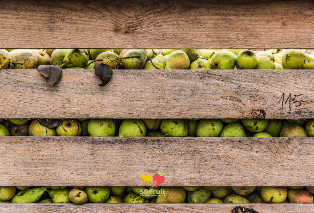 Fornitura pere IGP certificate per ristoranti - SD Fruit San Lazzaro