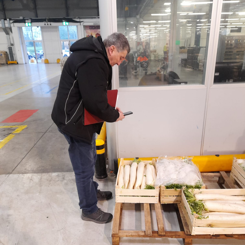 Cerchi forniture ortofrutticole semplici e veloci a Bologna e provincia? Scopri come SD Fruit semplifica l'acquisto e garantisce consegne puntuali per ristoranti e catering.