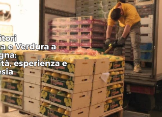 Consegna frutta e verdura fresca a Bologna - SD FRUIT