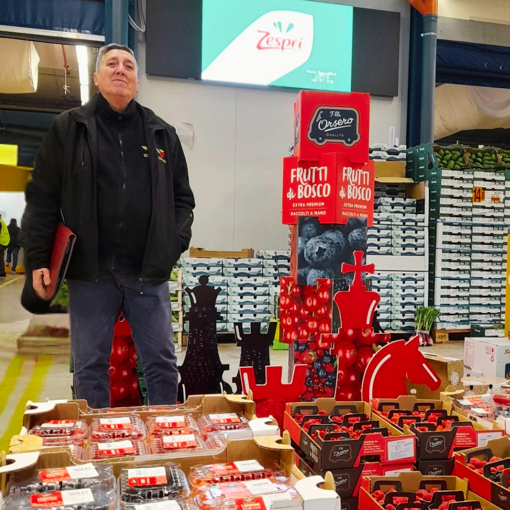 Ingrosso ortofrutta Bologna SD Fruit selezione piccoli frutti